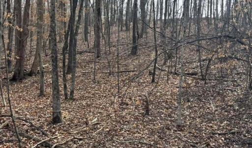 627268103_918891393992752_47589976746900