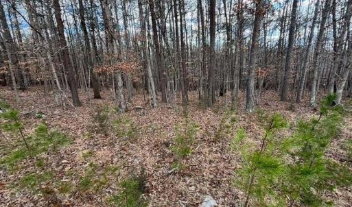 627753214_3022878957915103_1517840943974