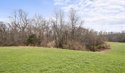 Photo #5 of 7389 LEEDS MANOR RD, MARSHALL, VA 101.0 acres