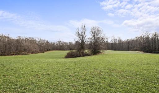 Photo #1 of 7389 LEEDS MANOR RD, MARSHALL, VA 101.0 acres