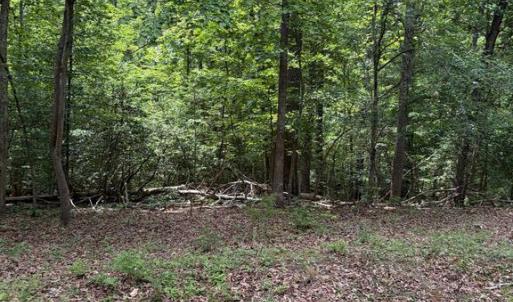 Photo #8 of 1 RAPIDAN RD, LOCUST GROVE, VA 4.1 acres