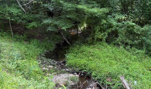 Photo #2 of 1 RAPIDAN RD, LOCUST GROVE, VA 4.1 acres