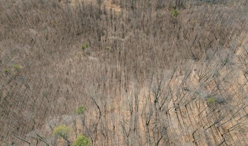 DJI_20260217120755_0101_D