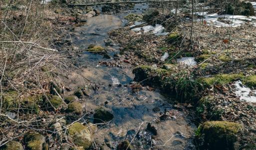 DJI_20260217115042_0077_D