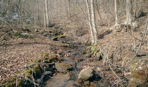 DJI_20260217114946_0074_D