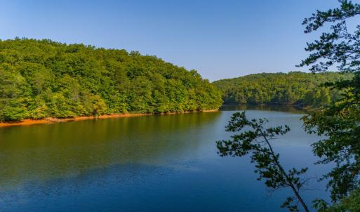 dji_20240829094246_0419_d