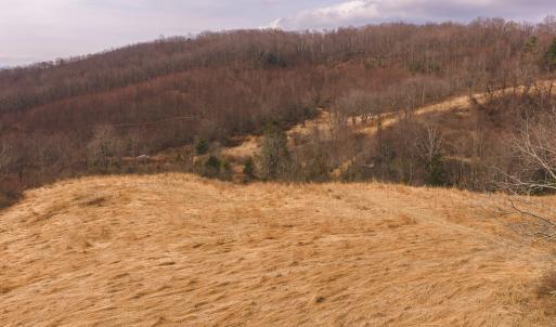 DJI_20260304114904_0526_D