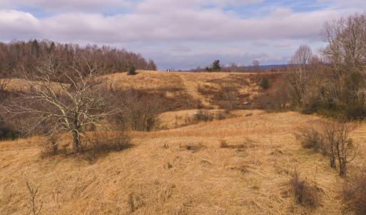 DJI_20260304114916_0527_D