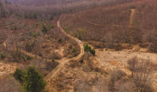 DJI_20260304115005_0530_D