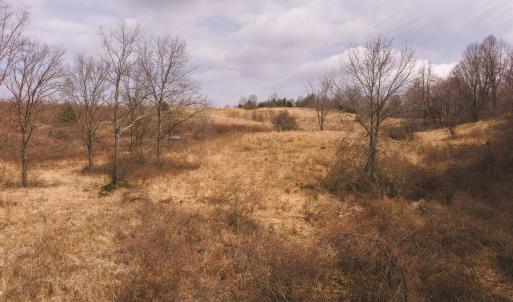 DJI_20260304115103_0533_D