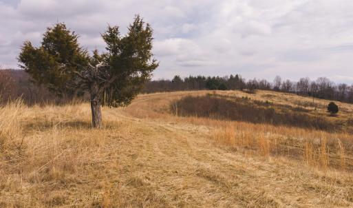 DJI_20260304115720_0537_D