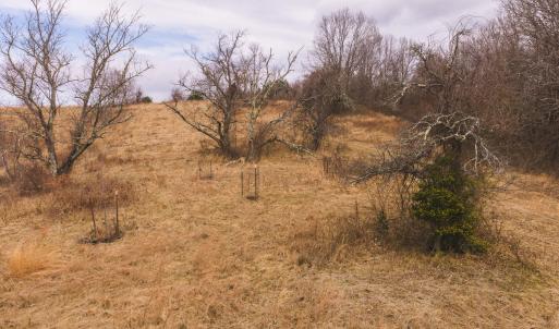 DJI_20260304115959_0544_D