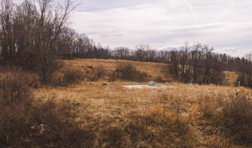 DJI_20260304120134_0548_D