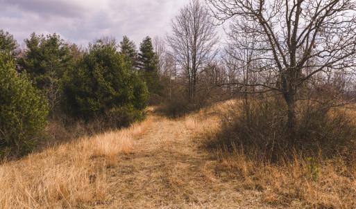 DJI_20260304120811_0555_D