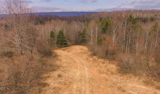 DJI_20260304120828_0557_D