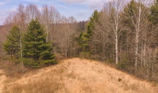 DJI_20260304120911_0560_D