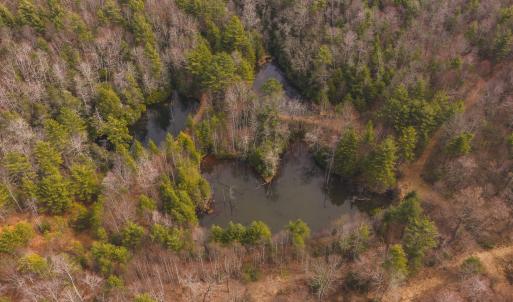 DJI_20260304121101_0563_D