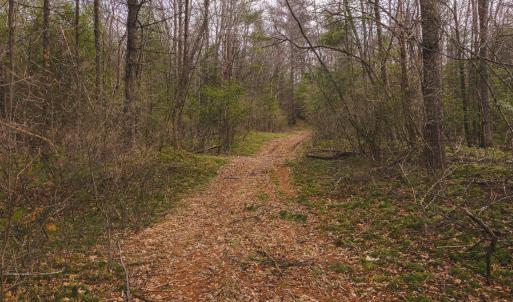 DJI_20260304123917_0580_D