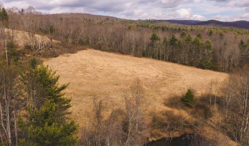 DJI_20260304131739_0596_D