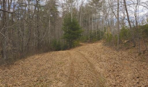 DJI_20260221142256_0320_D