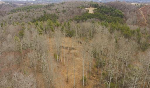 DJI_20260221142841_0328_D