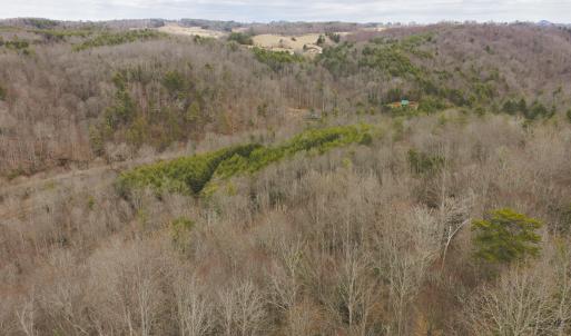 DJI_20260221142944_0330_D