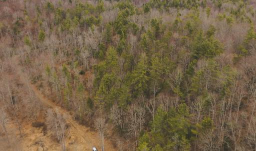 DJI_20260221134116_0293_D