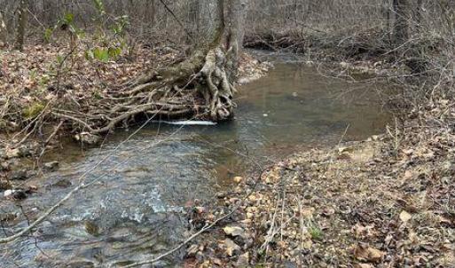 Prillaman Switch Creek Picture