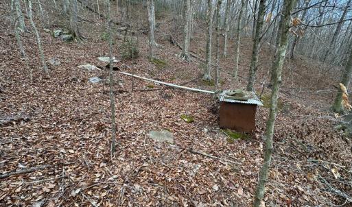 Prillaman Switch Springhouse