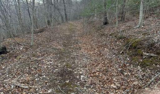 Prillaman Switch Logging Road