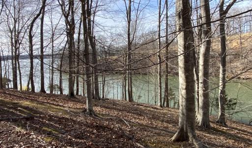 Build Your Dream Home