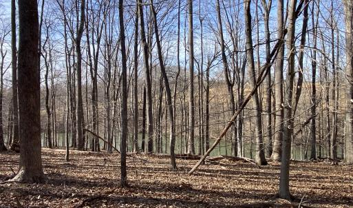 5.11 Acres