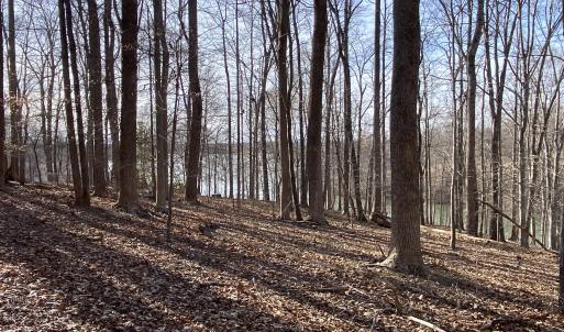 Beautiful Acreage