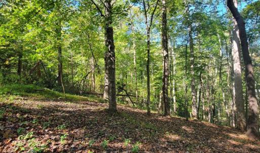 20211021001919024183000000-o