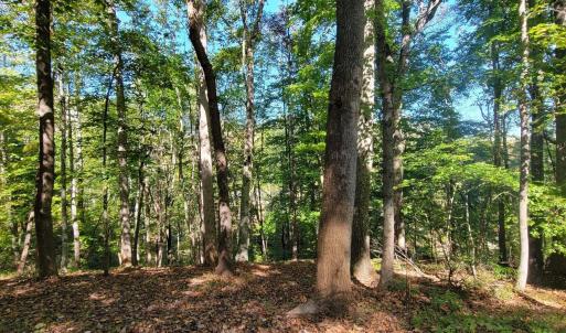 20211021001913076621000000-o