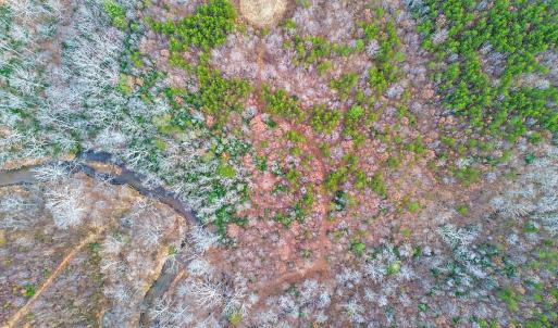 2359 Sago Rd - 98ac Farm