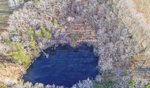 2359 Sago Rd - 98ac Farm