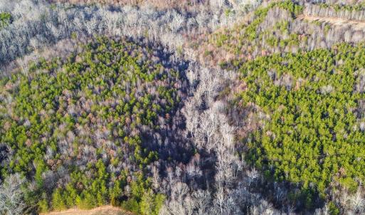 2359 Sago Rd - 98ac Farm