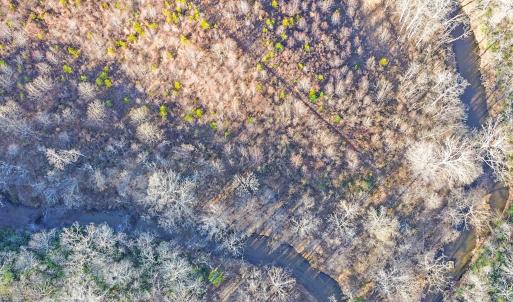 2359 Sago Rd - 98ac Farm