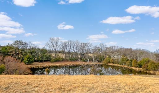 2359 Sago Rd - 98ac Farm