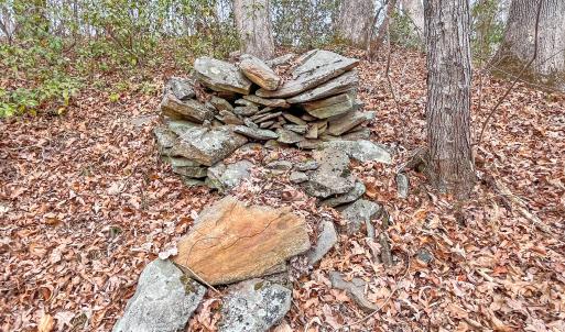 2359 Sago Rd - 98ac Farm