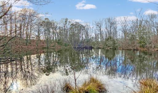 2359 Sago Rd - 98ac Farm
