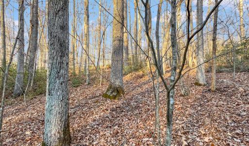 2359 Sago Rd - 98ac Farm