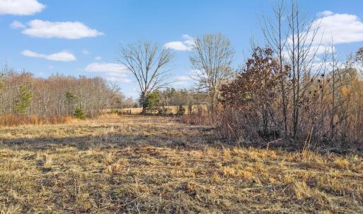 2359 Sago Rd - 98ac Farm