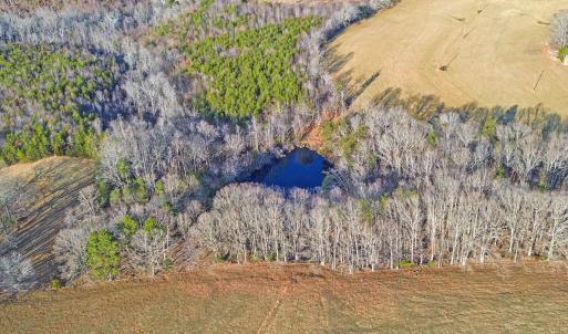 2359 Sago Rd - 98ac Farm
