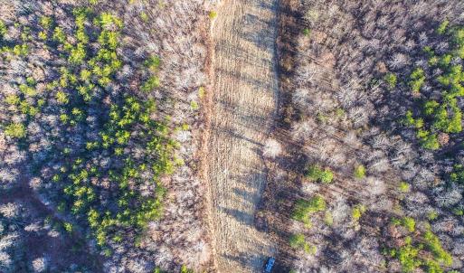 2359 Sago Rd - 98ac Farm