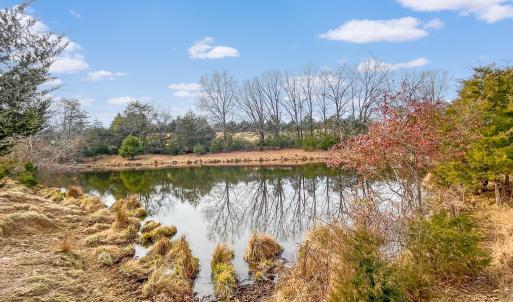 2359 Sago Rd - 98ac Farm