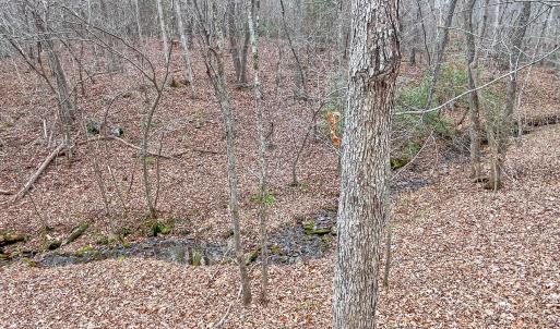 2359 Sago Rd - 98ac Farm