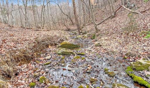 2359 Sago Rd - 98ac Farm