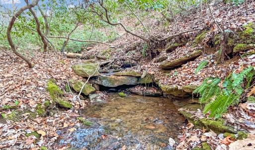 2359 Sago Rd - 98ac Farm